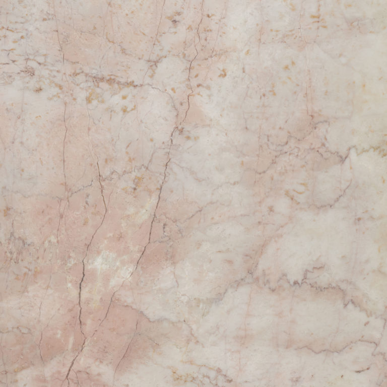 Mandarin Stone - Rosalina Honed Marble Slab - Wall Tile